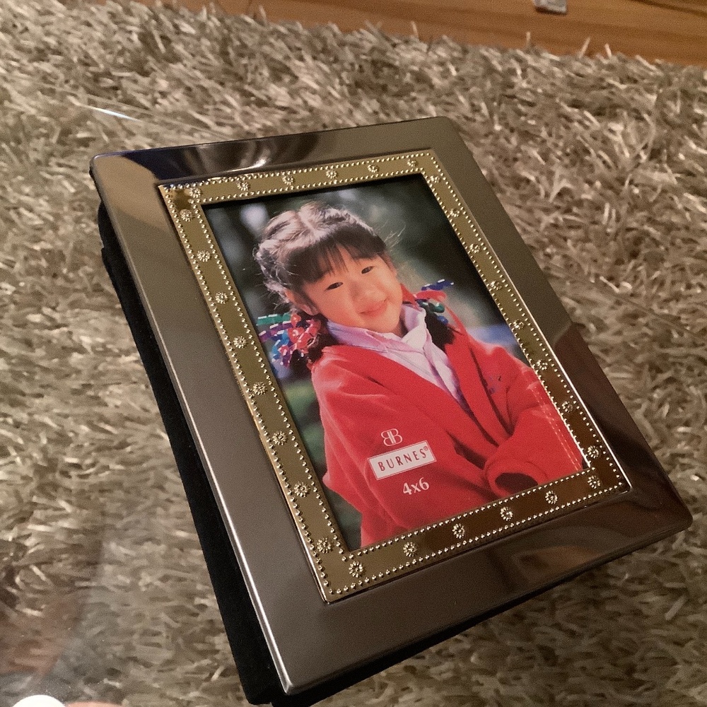 Burnes 4x6 Silver Photo Album